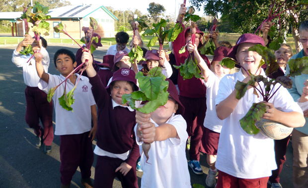 Callala_before_after_school