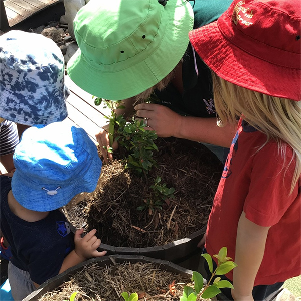 children caring for plants with child care educator at kids korner nowra